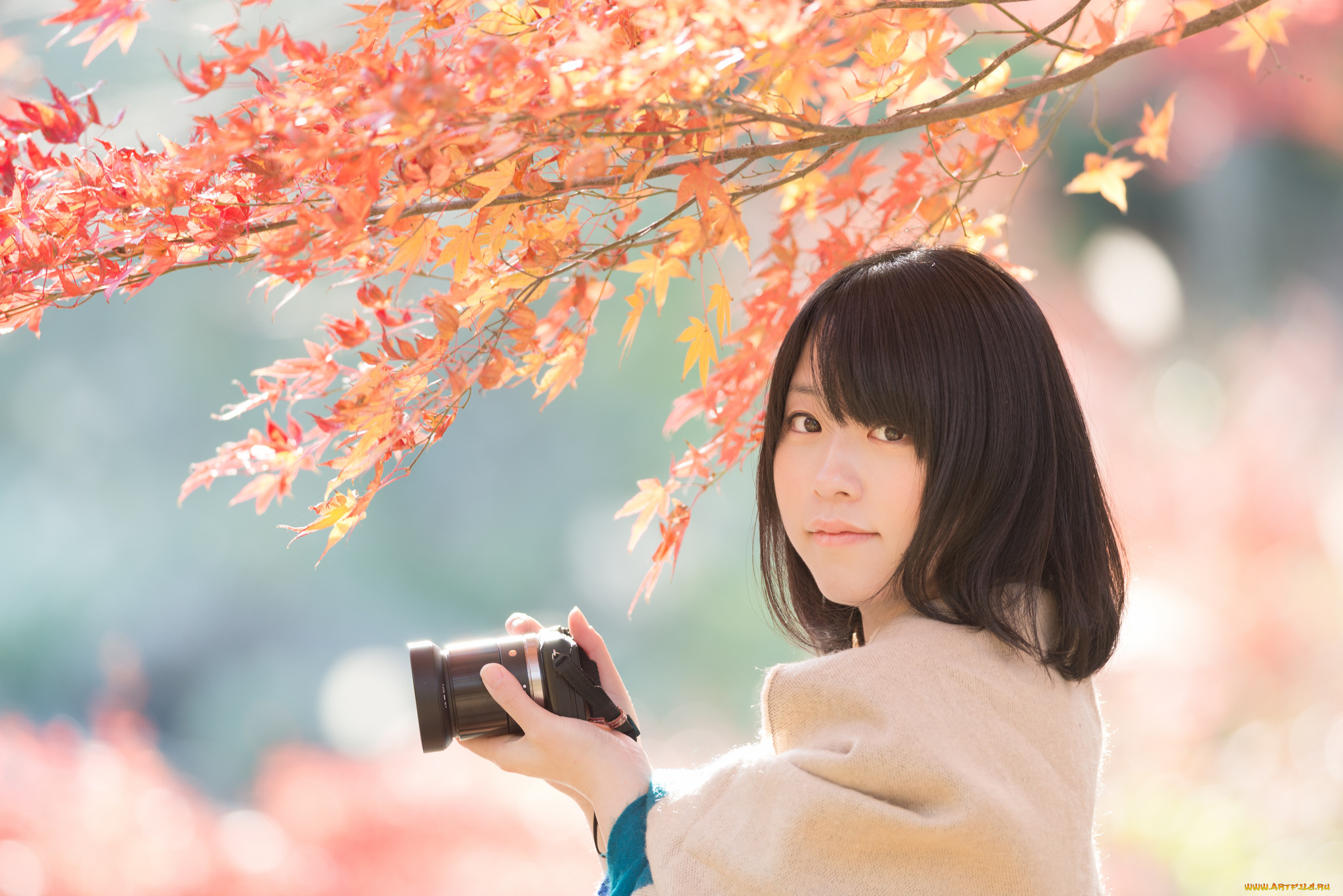 , -unsort , ,  , , , , , , , , ryuichi, miyazaki